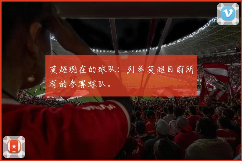 英超现在的球队:列举英超目前所有的参赛球队。
