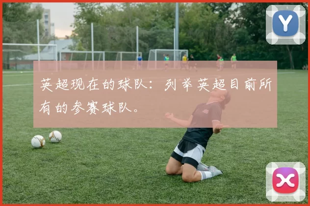英超现在的球队:列举英超目前所有的参赛球队。