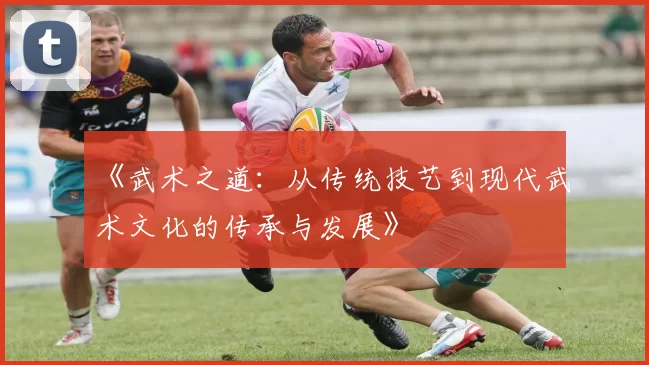 《武术之道:从传统技艺到现代武术文化的传承与发展》