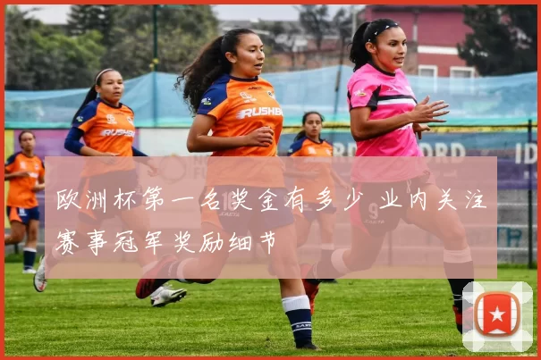 欧洲杯第一名奖金有多少 业内关注赛事冠军奖励细节