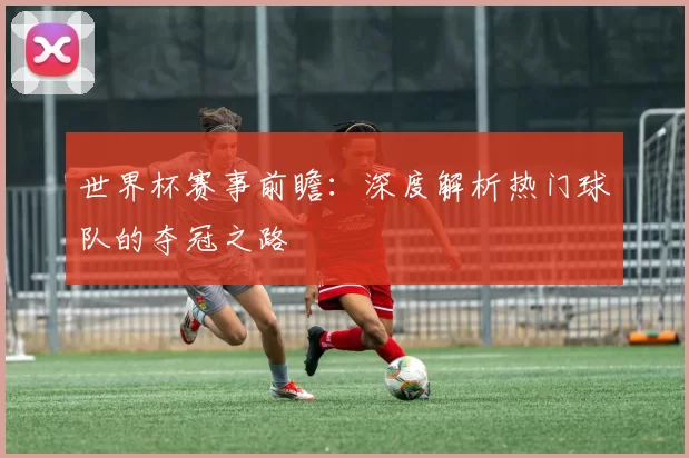 世界杯赛事前瞻：深度解析热门球队的夺冠之路