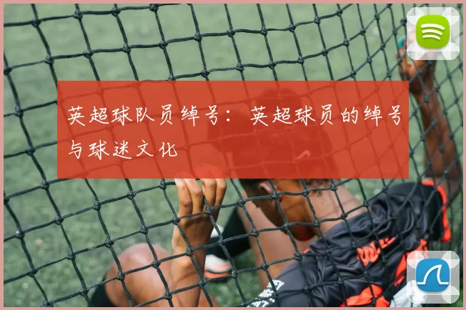 英超球队员绰号：英超球员的绰号与球迷文化