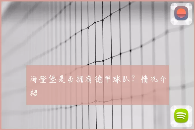 海登堡是否拥有德甲球队?情况介绍