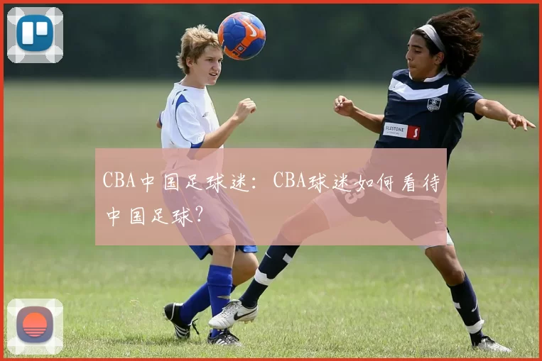 CBA中国足球迷:CBA球迷如何看待中国足球?