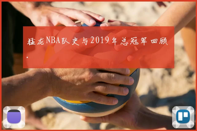 猛龙NBA队史与2019年总冠军回顾 .