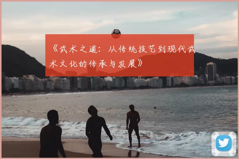 《武术之道:从传统技艺到现代武术文化的传承与发展》