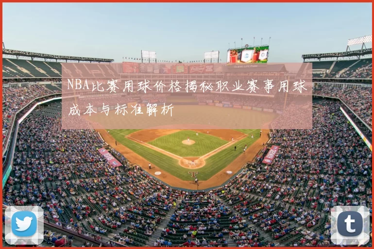 NBA比赛用球价格揭秘职业赛事用球成本与标准解析