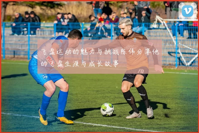 飞盘运动的魅力与挑战陈伟分享他的飞盘生涯与成长故事