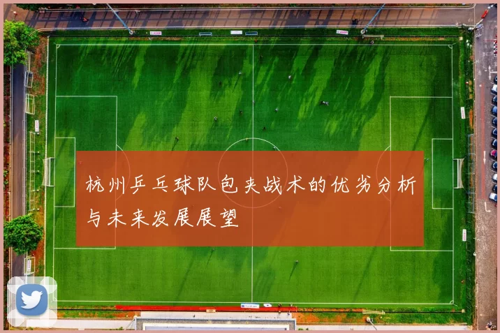 杭州乒乓球队包夹战术的优劣分析与未来发展展望