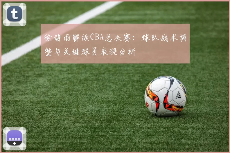 徐静雨解读CBA总决赛：球队战术调整与关键球员表现分析