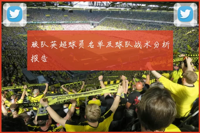 狼队英超球员名单及球队战术分析报告
