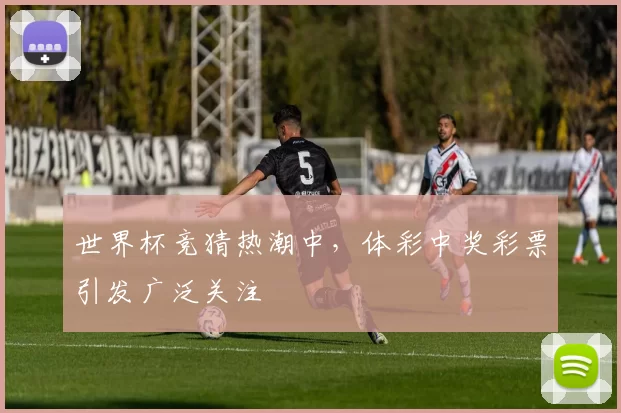 世界杯竞猜热潮中,体彩中奖彩票引发广泛关注