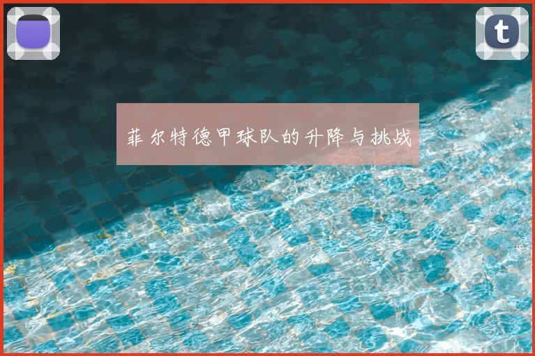 菲尔特德甲球队的升降与挑战